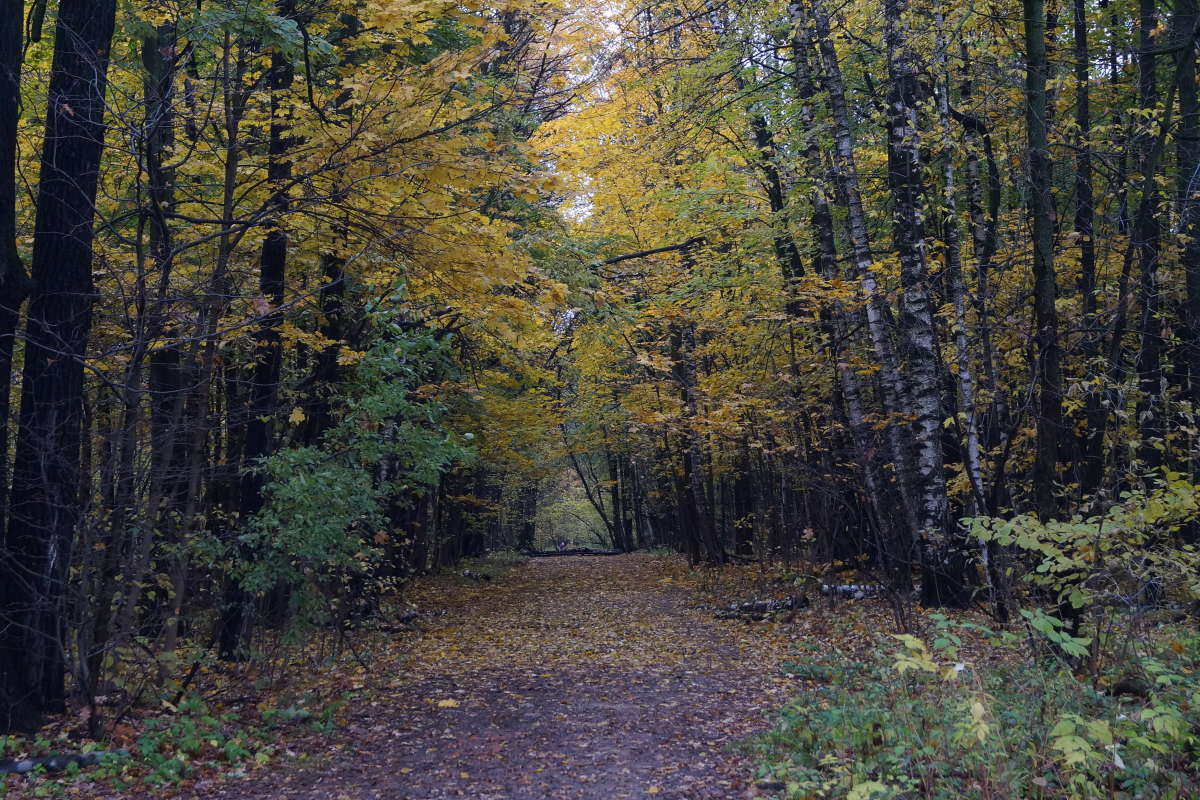 ������� ���� ����� �������� ����� �� PhotoGeek.ru #������ ��� ������� #����� ��������������