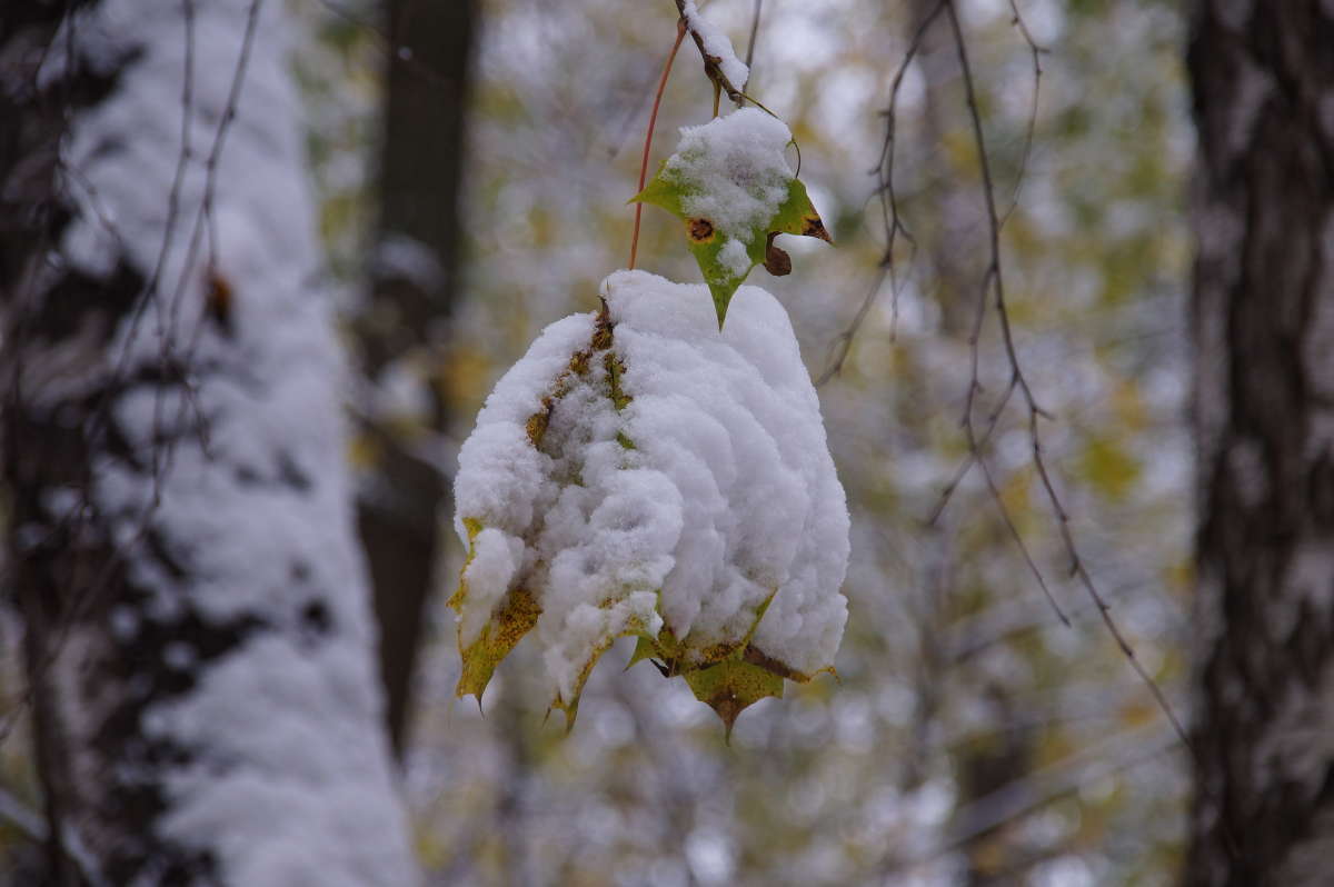 ����������� ����� ����� �������� ����� �� PhotoGeek.ru #������ ��� ������� #����� ��������������