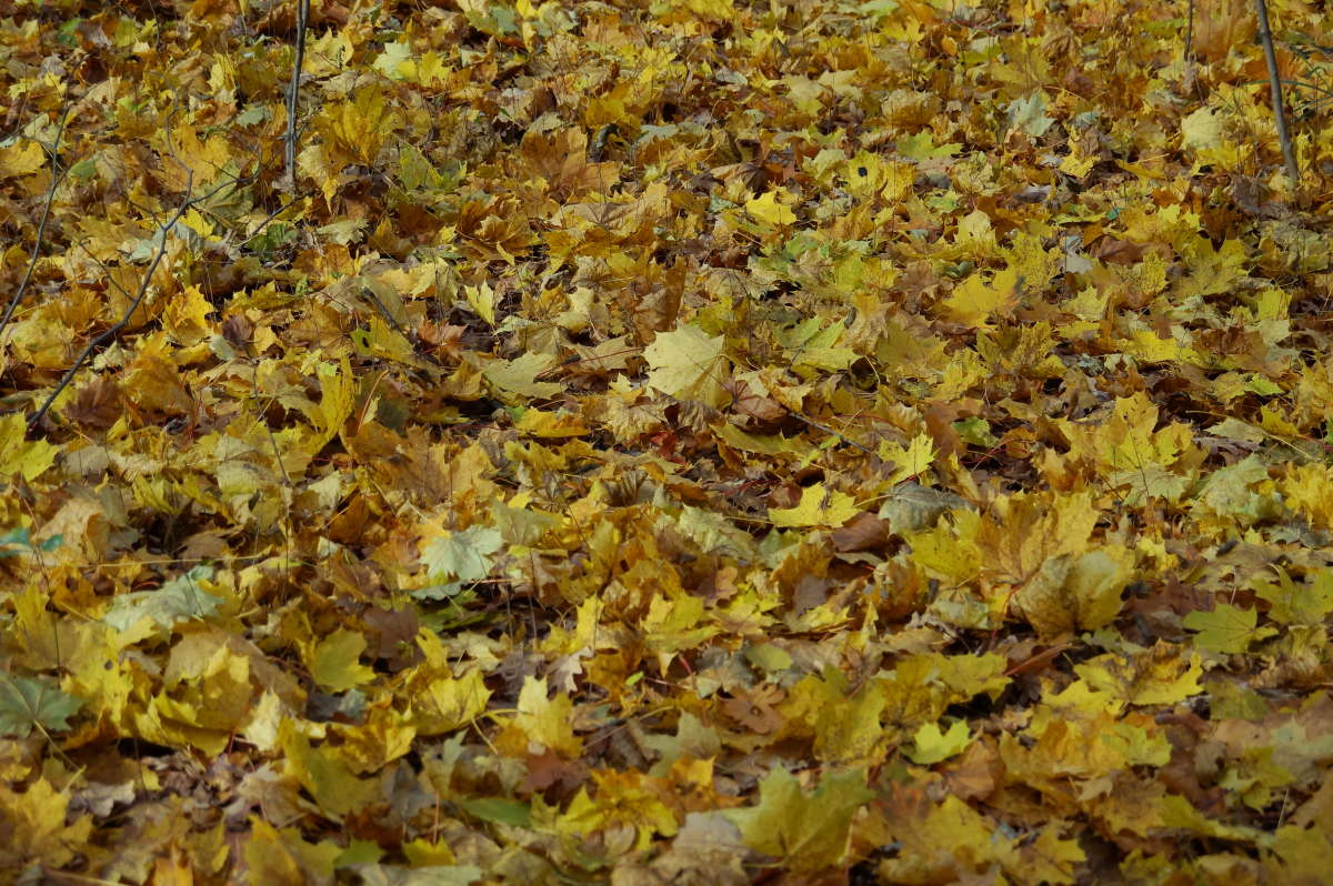 �� ����� �� ������ ������� ����� �������� ����� �� PhotoGeek.ru #������ ��� ������� #����� ��������������