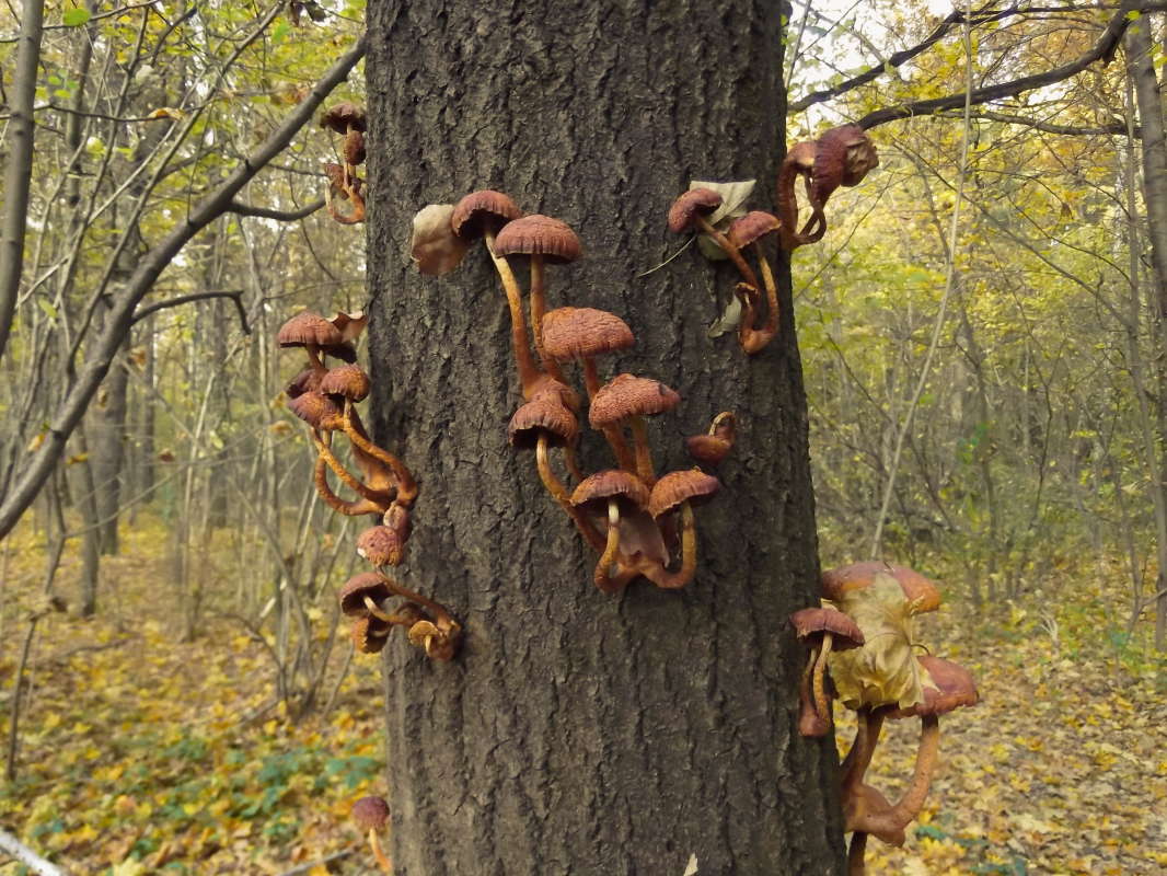 ������� ���� ����� �������� ����� �� PhotoGeek.ru #������ ��� ������� #����� ��������������