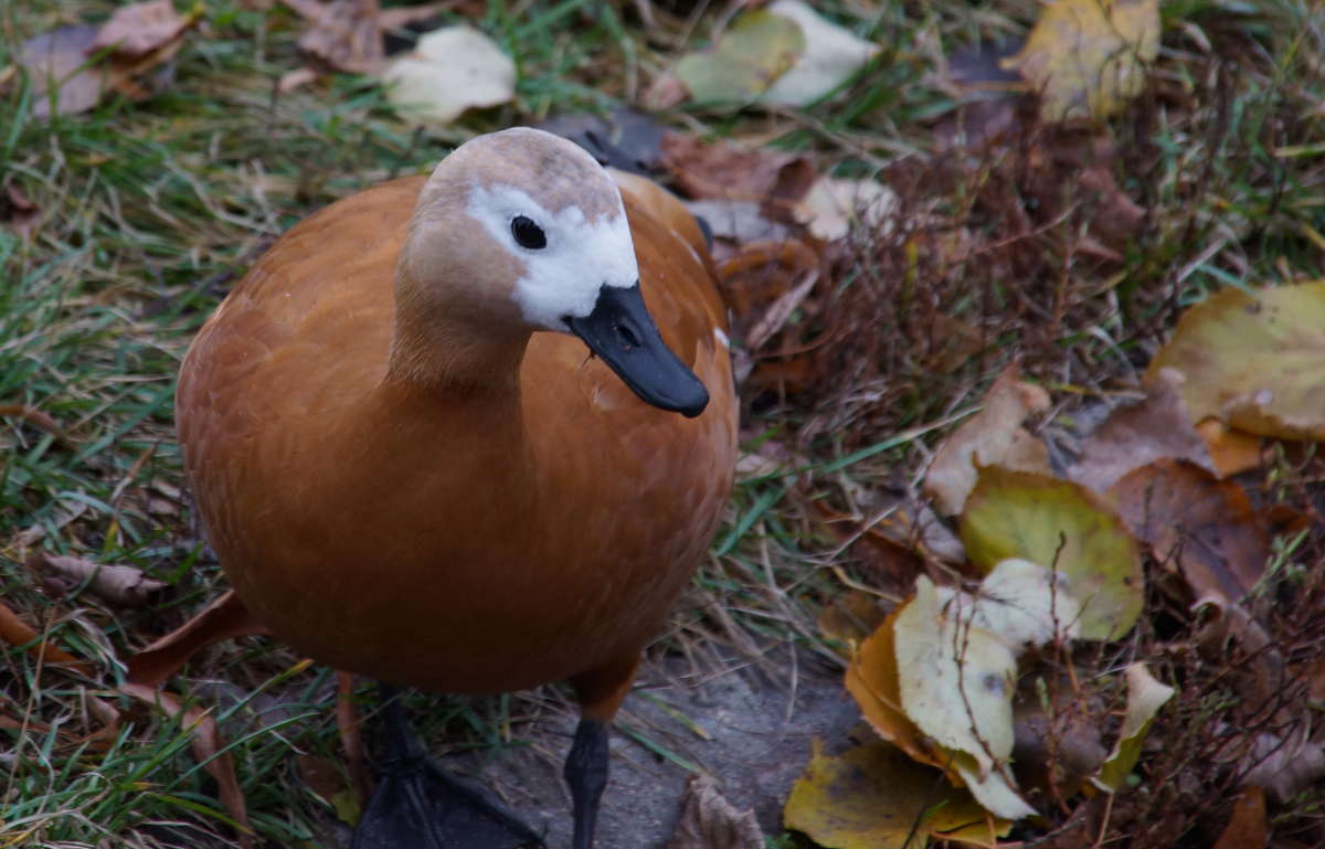 ������� ���� ����� �������� ����� �� PhotoGeek.ru #�������� ��� #����� ��� ��� ���������