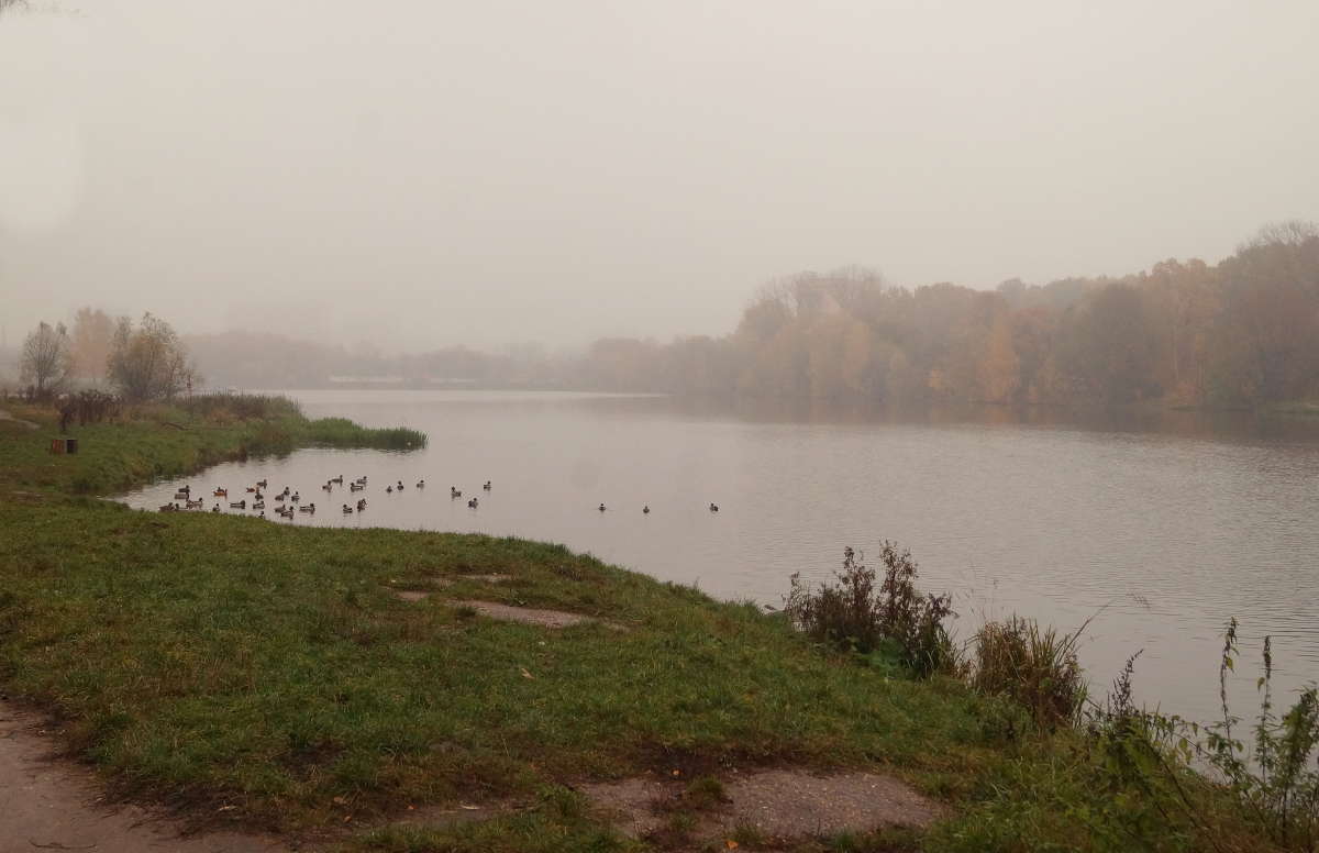 ������� ����� �������� ����� �� PhotoGeek.ru #������ ��� �������