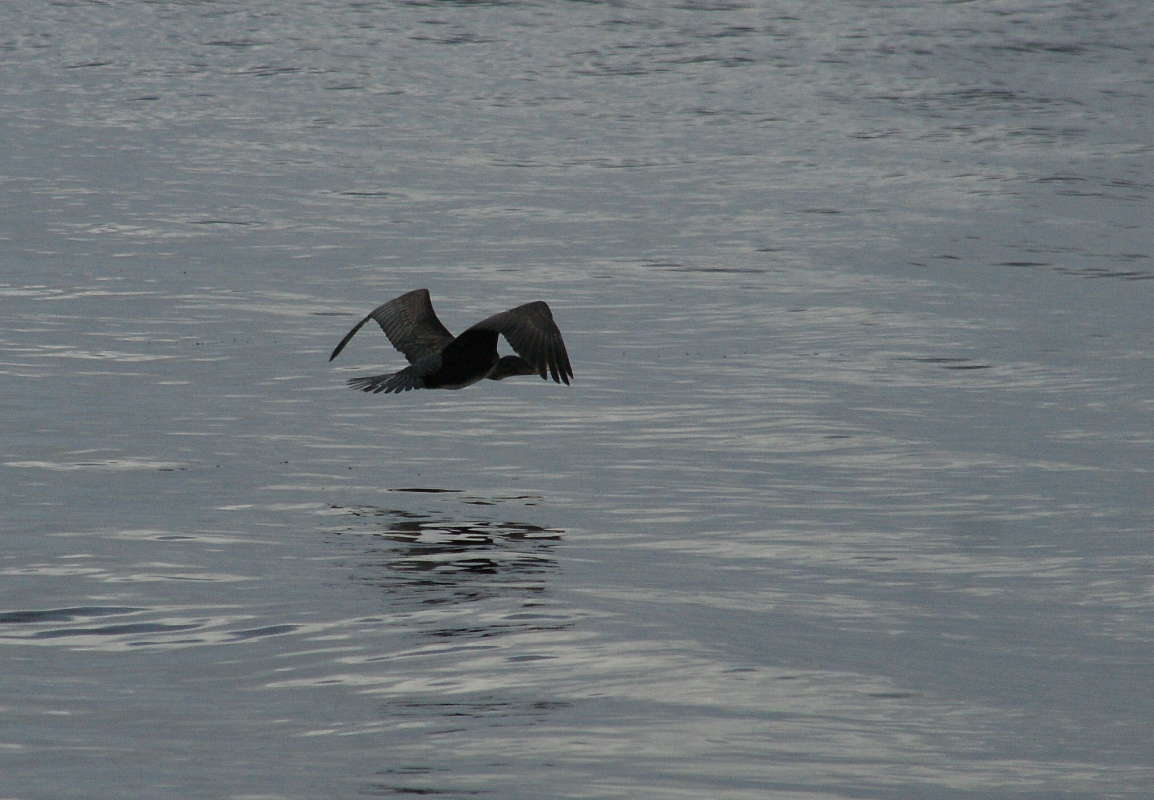 ������ ������ ����� �������� ����� �� PhotoGeek.ru #�������� ��� #����� ��� ��� ���������