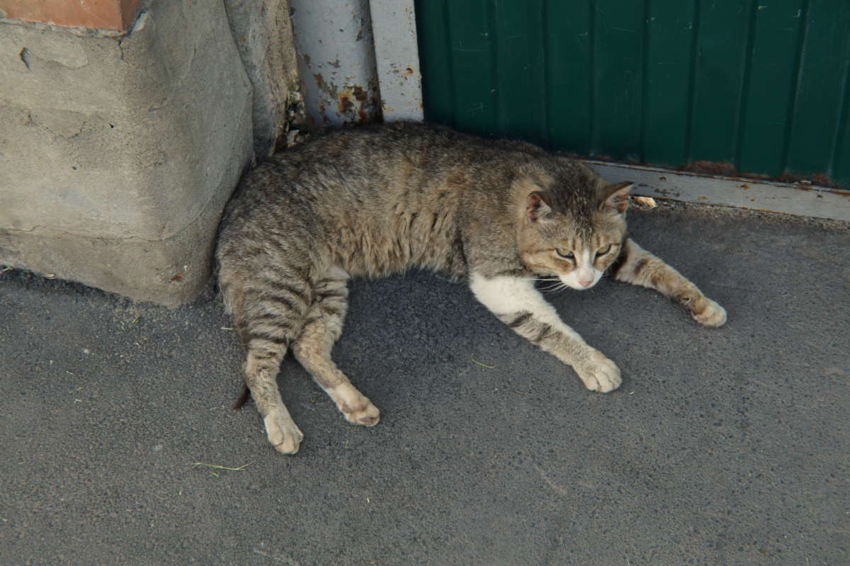 ����� ����� �������� ����� �� PhotoGeek.ru #������ ��� �������