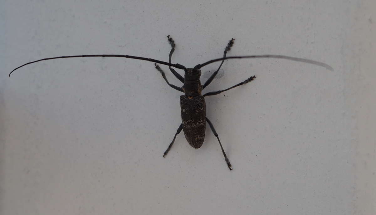 ������ �� ��������� ����� �������� ����� �� PhotoGeek.ru #�������� ��� #����� ��� ��� ���������