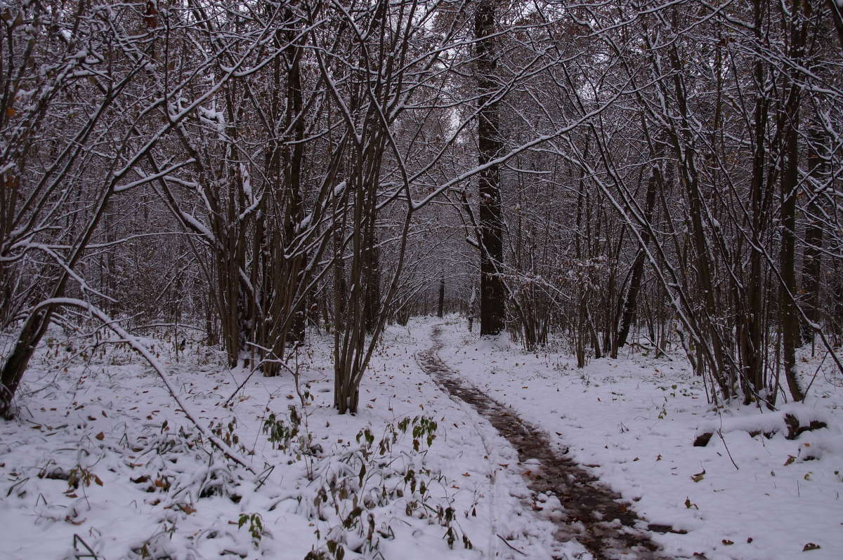 ����������� ����� �������� ����� �� PhotoGeek.ru #������ ��� �������