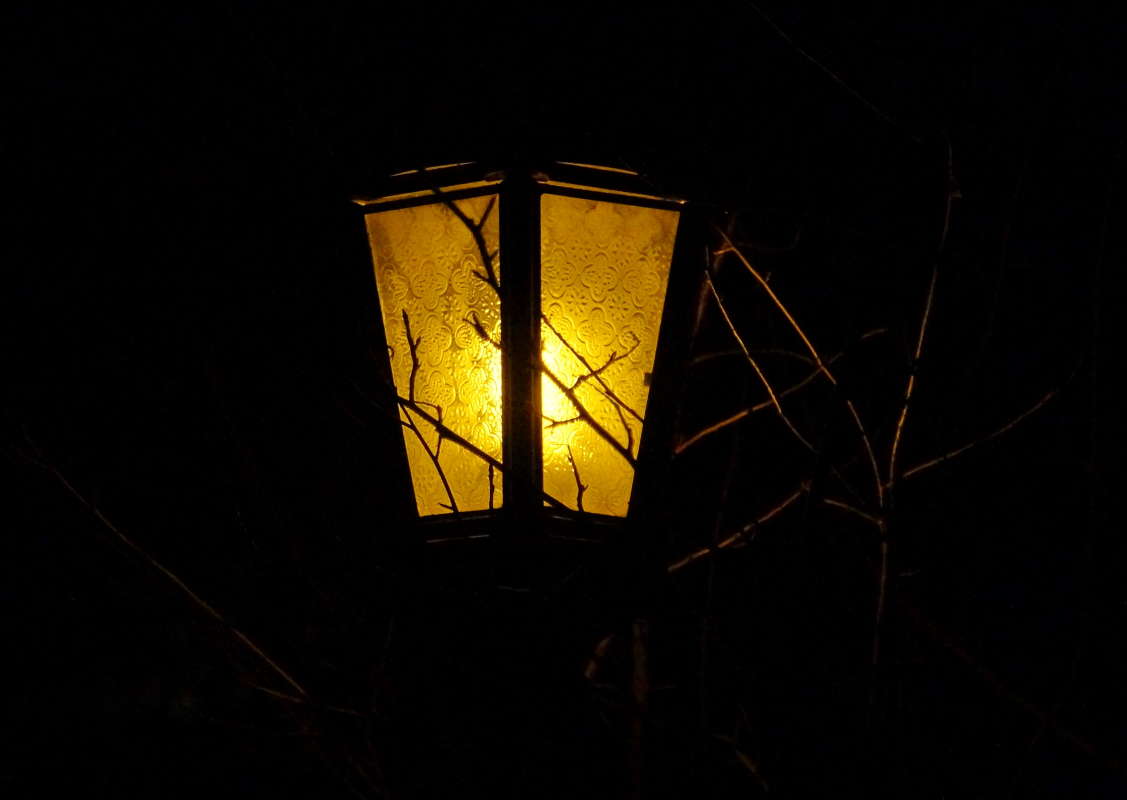 ������� ���� ����� �������� ����� �� PhotoGeek.ru #�����