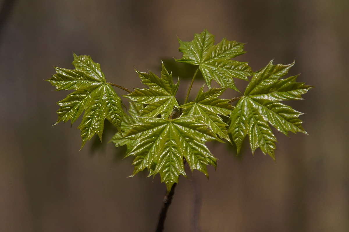 ������ ����� �������� ����� �� PhotoGeek.ru #������ ��� ������� #����� ��������������