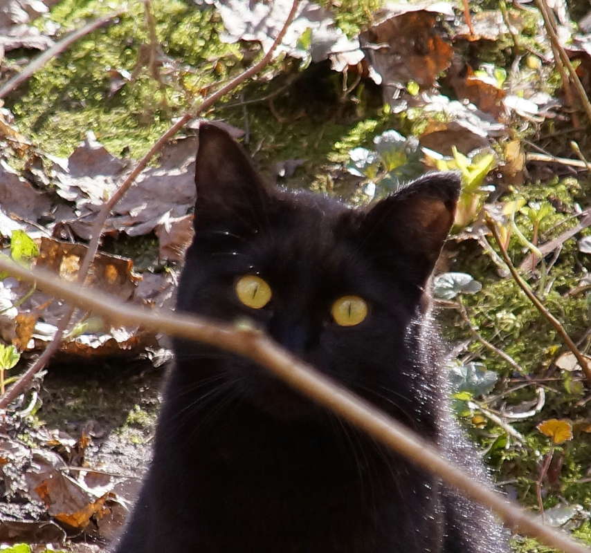 ����� ����� �������� ����� �� PhotoGeek.ru #�������� ���