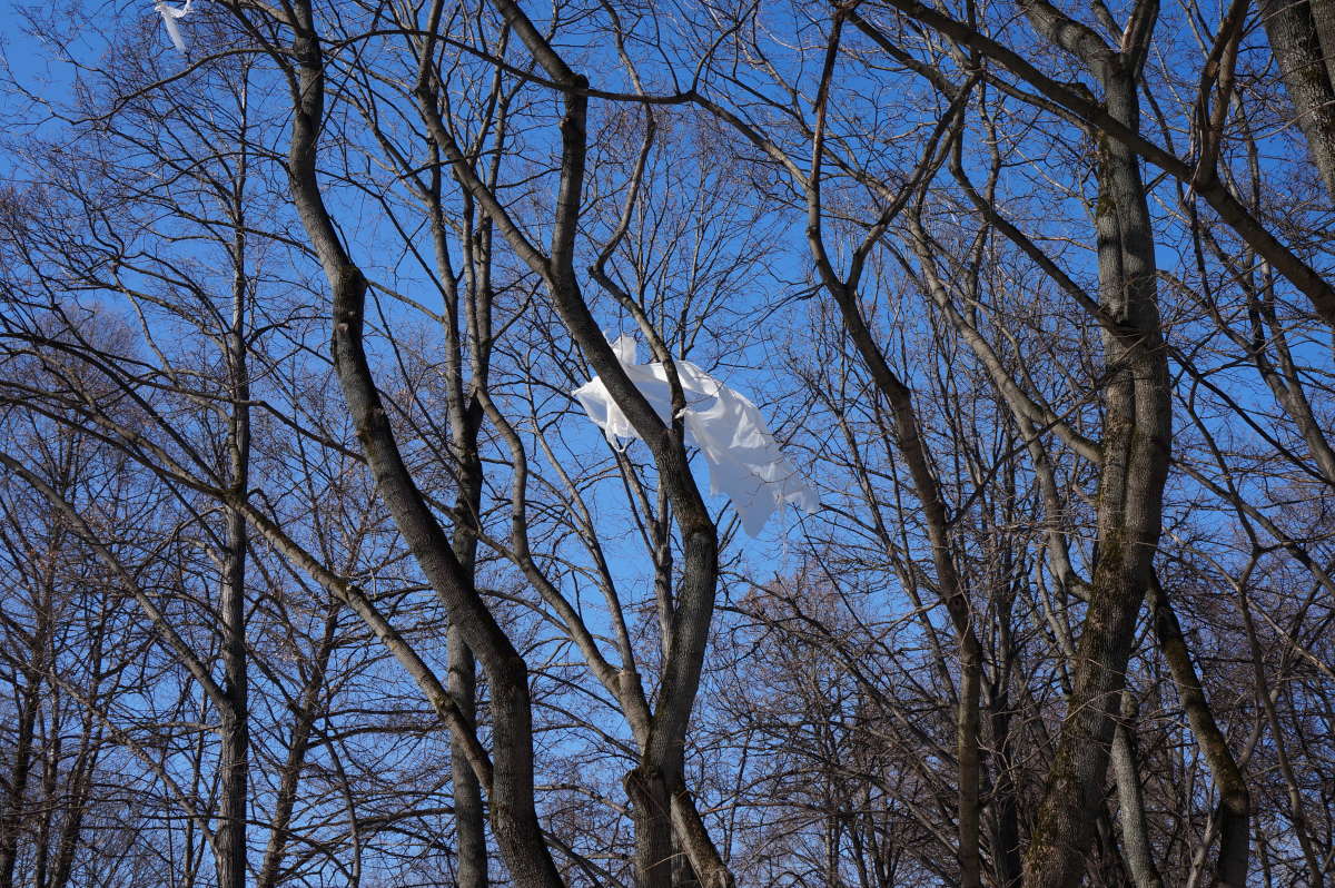 ����� ������ ����� �������� ����� �� PhotoGeek.ru #������ ��� ������� #����� �������������� #������������ #����� ��������