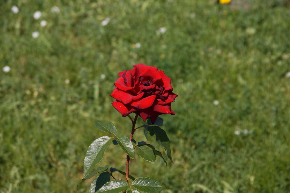 ���� ����� �������� ����� �� PhotoGeek.ru #������ ��� ������� #����� �������������� #������������ #����� ��������