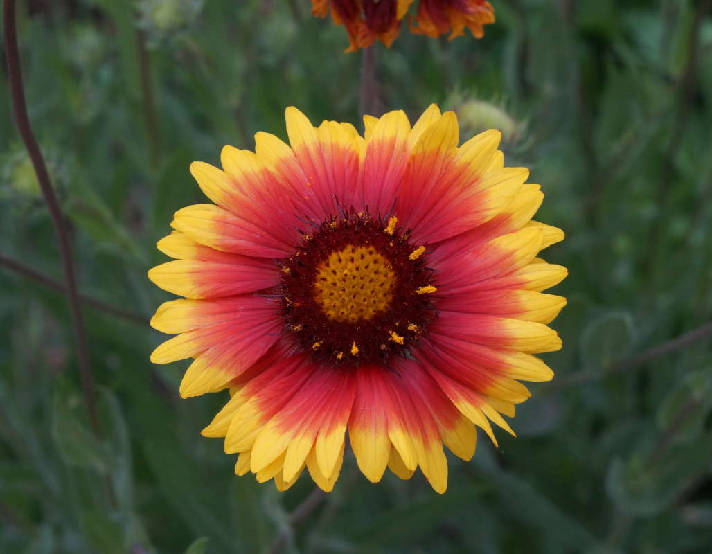 ����� ����� �������� ����� �� PhotoGeek.ru #������ ��� ������� #����� �������������� #����� ��������