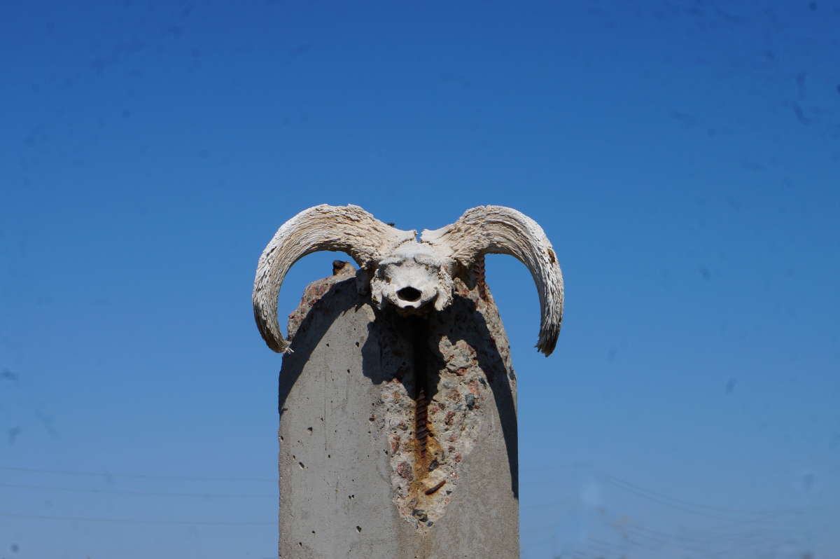 �������� ����� ����� �������� ����� �� PhotoGeek.ru #�������� ����������