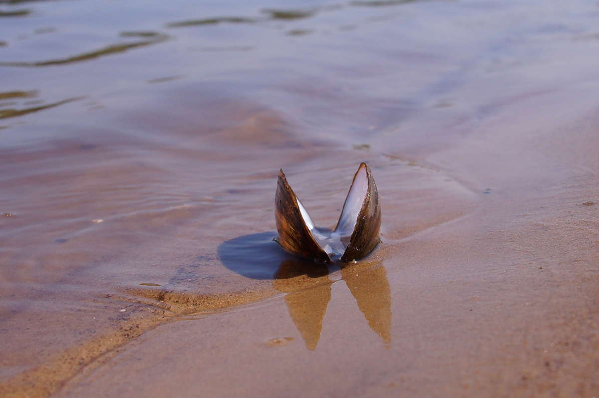 ������� ����� ����� �������� ����� �� PhotoGeek.ru #�������� ��� #������ ��� �������