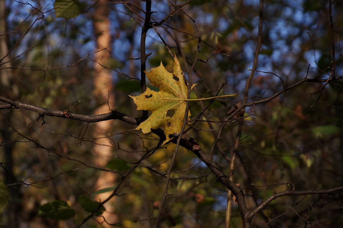 ���������� ����� �������� ����� �� PhotoGeek.ru #������ ��� ������� #����� ��������������