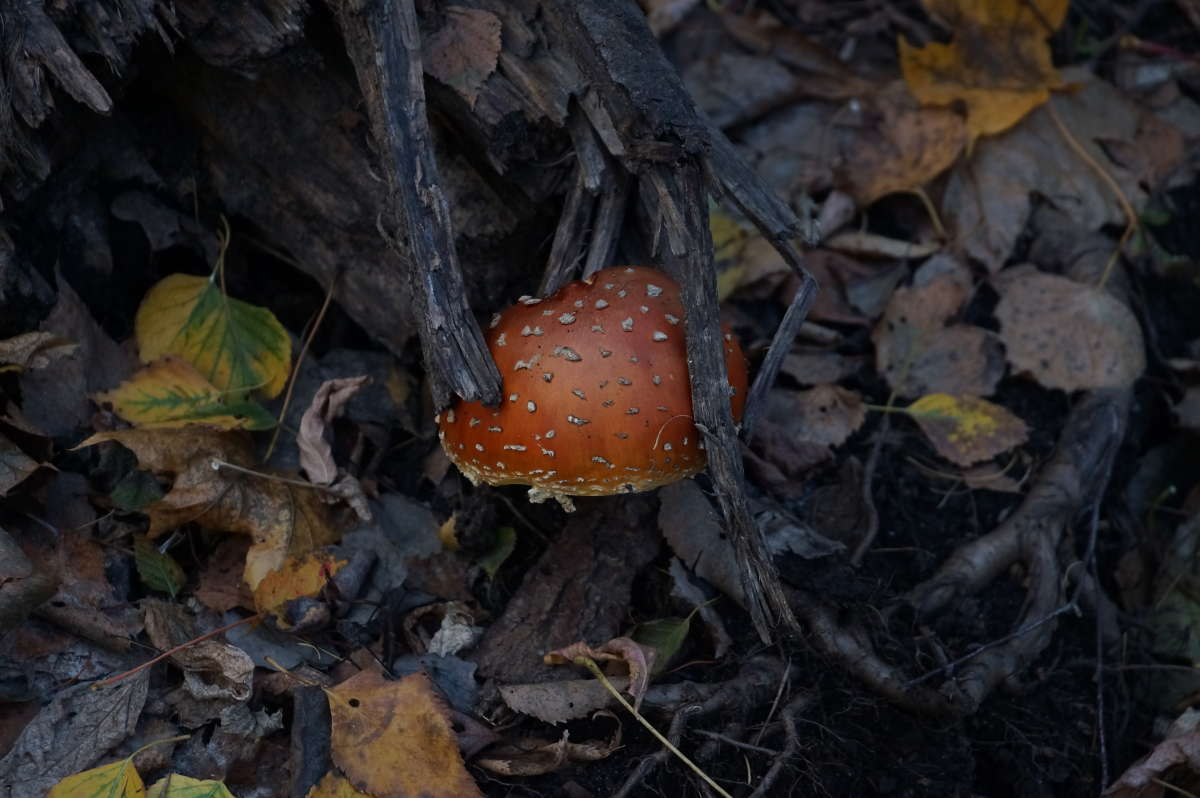 ������������ ����� �������� ����� �� PhotoGeek.ru #������ ��� ������� #����� ��������������