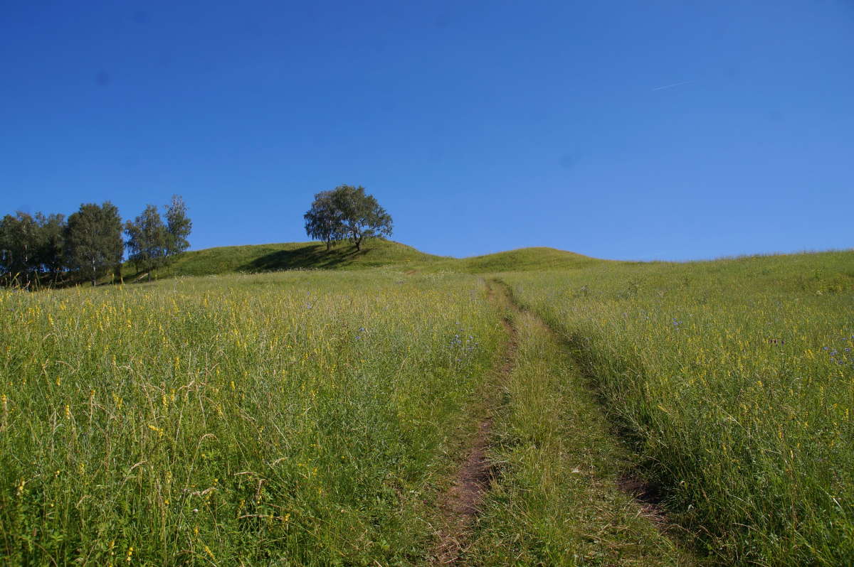 ������ � ���� ����� �������� ����� �� PhotoGeek.ru #������ ��� ������� #����� ��������������