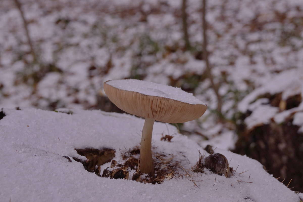 �������� ����� �������� ����� �� PhotoGeek.ru #������ ��� ������� #����� ��������������