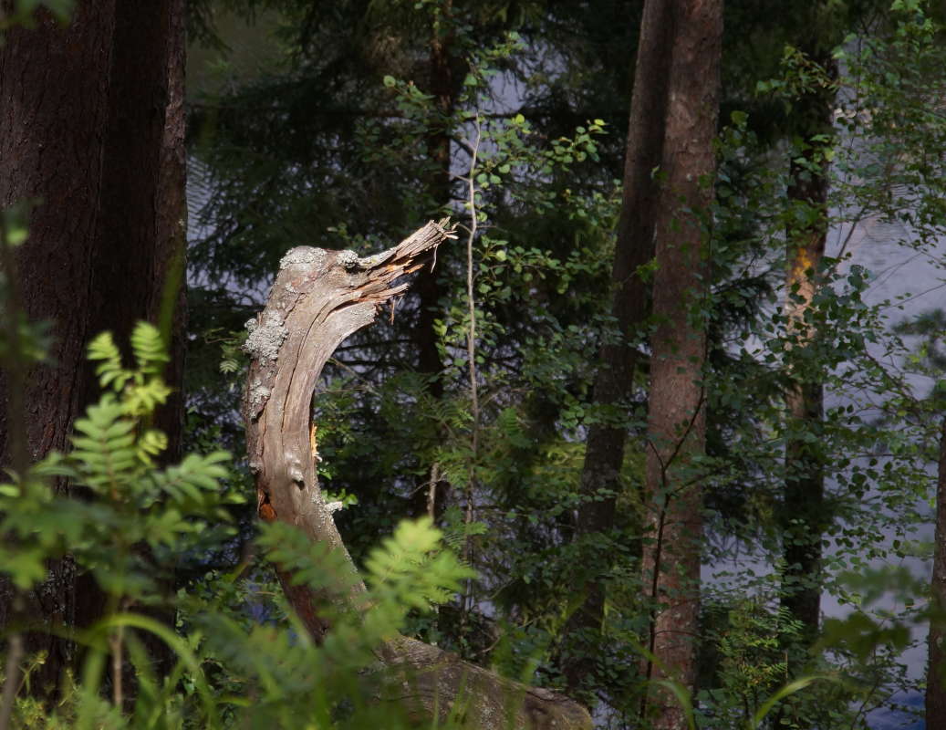 ������ ����� �������� ����� �� PhotoGeek.ru #������ ��� ������� #����� ��������������