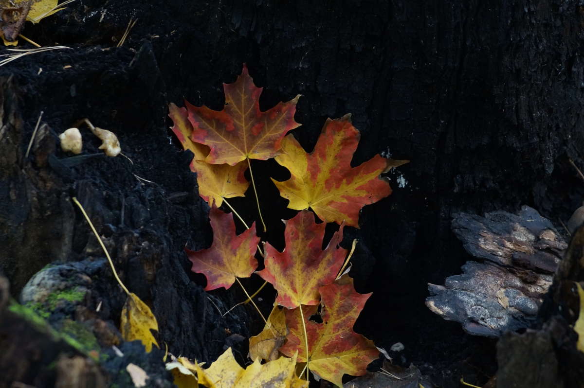 ������ ����� ����� �������� ����� �� PhotoGeek.ru #������ ��� ������� #����� ��������������