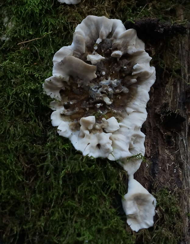 ������ ������� ����� �������� ����� �� PhotoGeek.ru #������ ��� ������� #����� ��������������