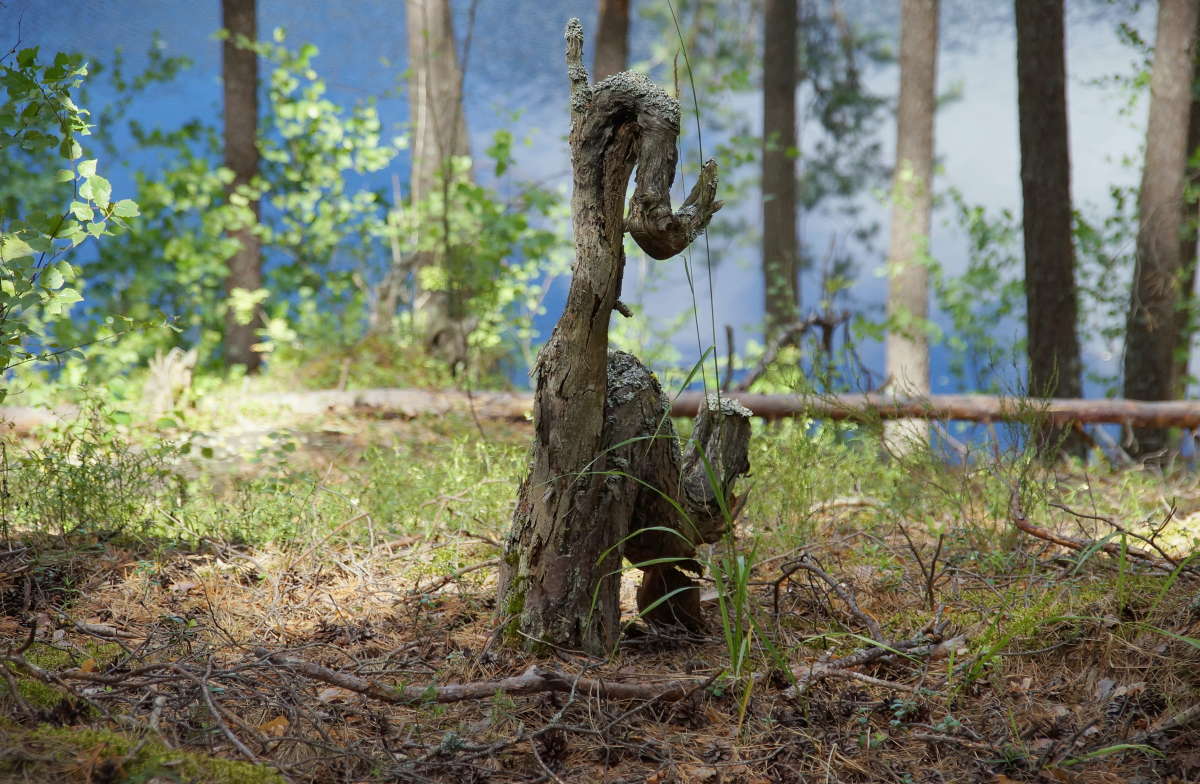 ������ ����� �������� ����� �� PhotoGeek.ru #������ ��� ������� #����� ��������������