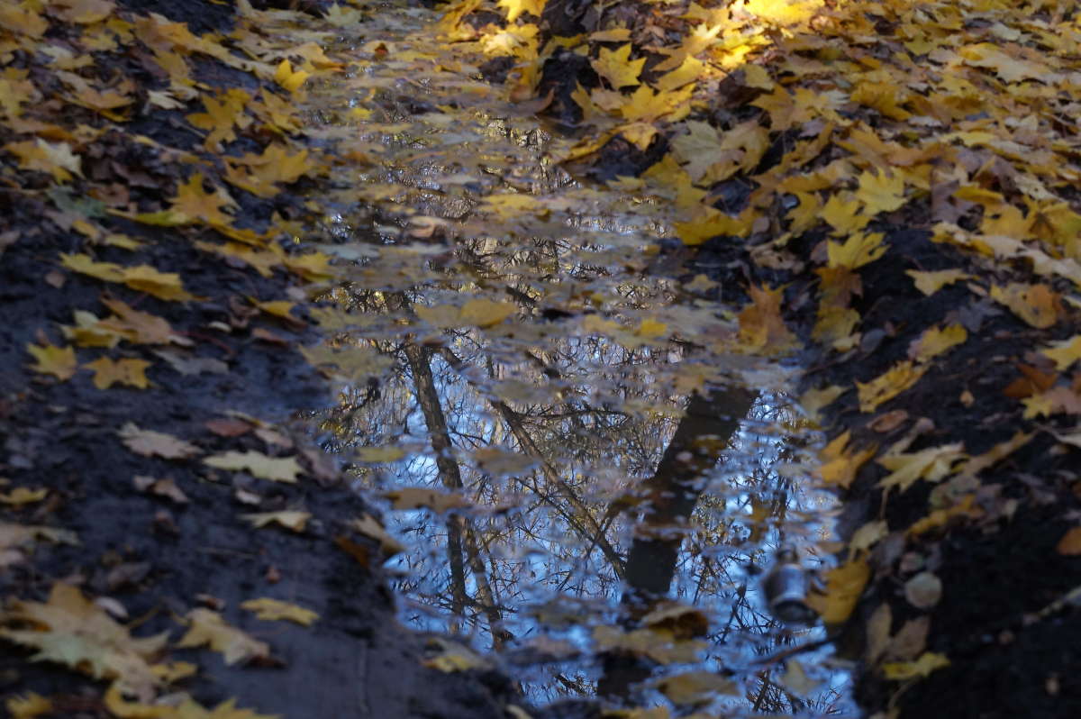 ������� ���������� ����� �������� ����� �� PhotoGeek.ru #������ ��� ������� #����� �������������� #������������ #����� ��������