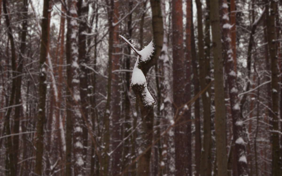 ���� ����� �������� ����� �� PhotoGeek.ru #������ ��� �������