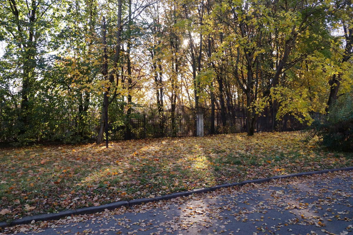 �������� ����� ����� �������� ����� �� PhotoGeek.ru #������ ��� ������� #����� ��������������