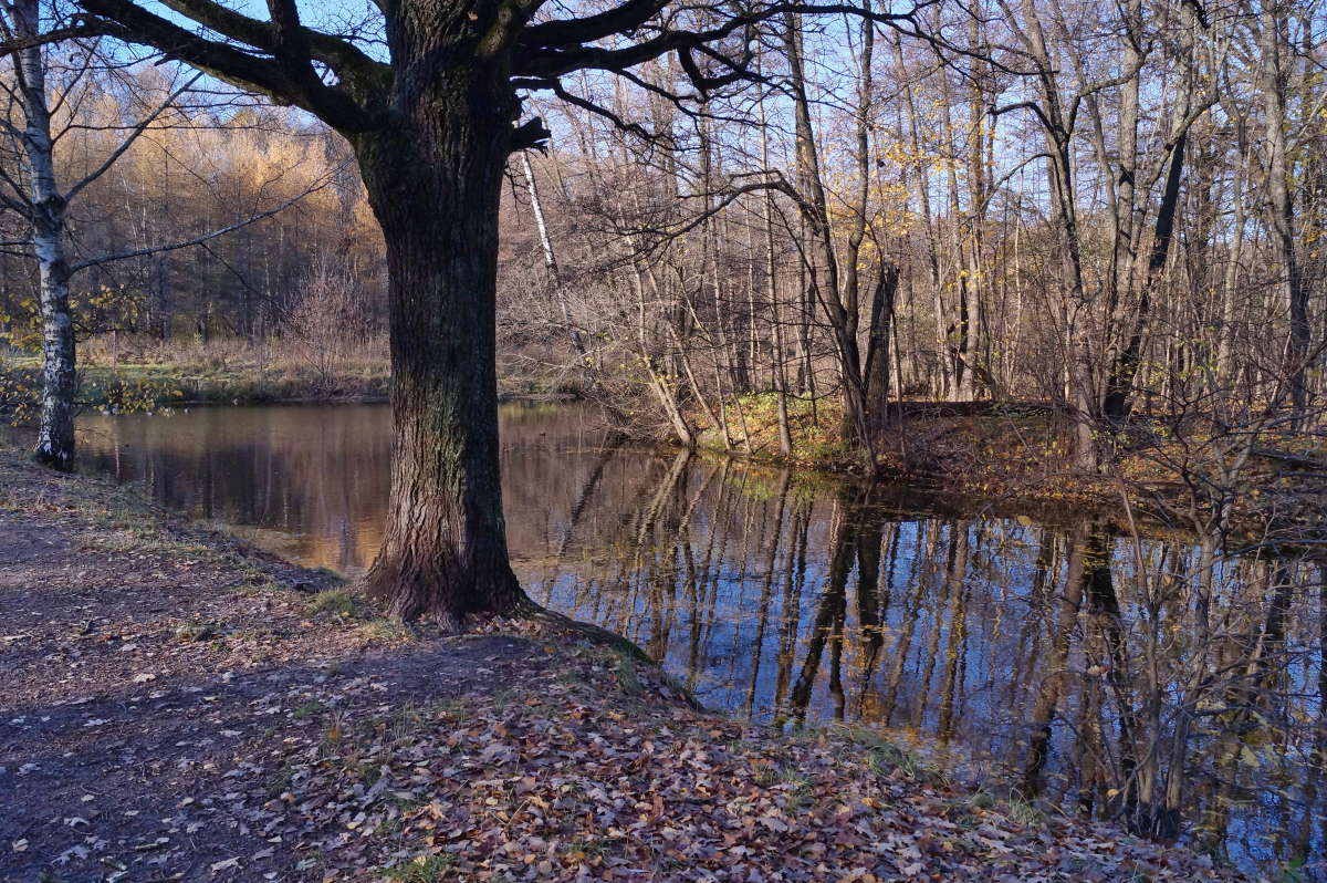 ������� ����� ����� �������� ����� �� PhotoGeek.ru #������ ��� ������� #����� ��������������