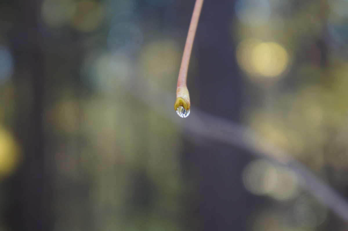 ��������� ����� ����� �������� ����� �� PhotoGeek.ru #������ ��� ������� #����� ��������������