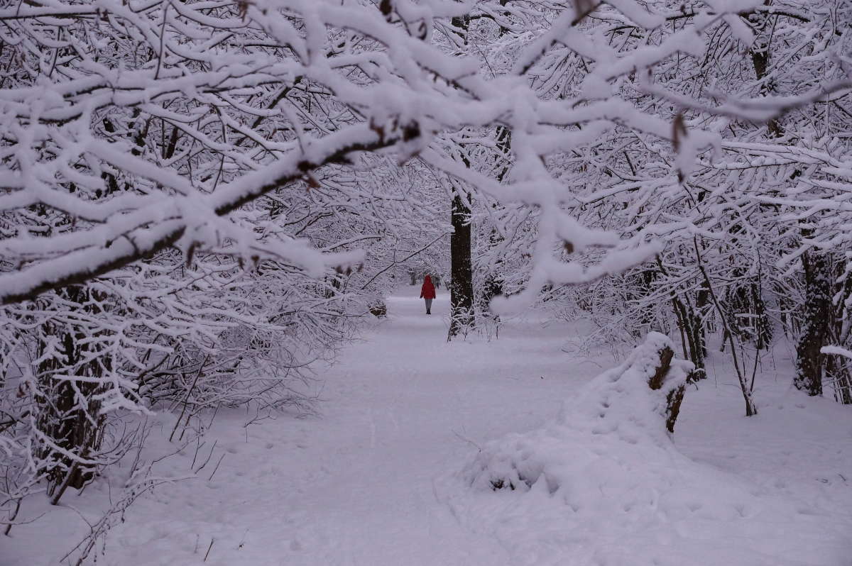 ������ ������ ����� �������� ����� �� PhotoGeek.ru #������ ��� �������