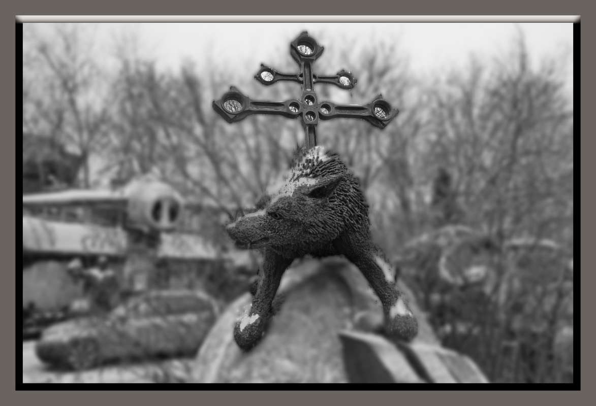 ������ ����� ����� �������� ����� �� PhotoGeek.ru #����� #����������� #������ ���� #��������� ������ #��������