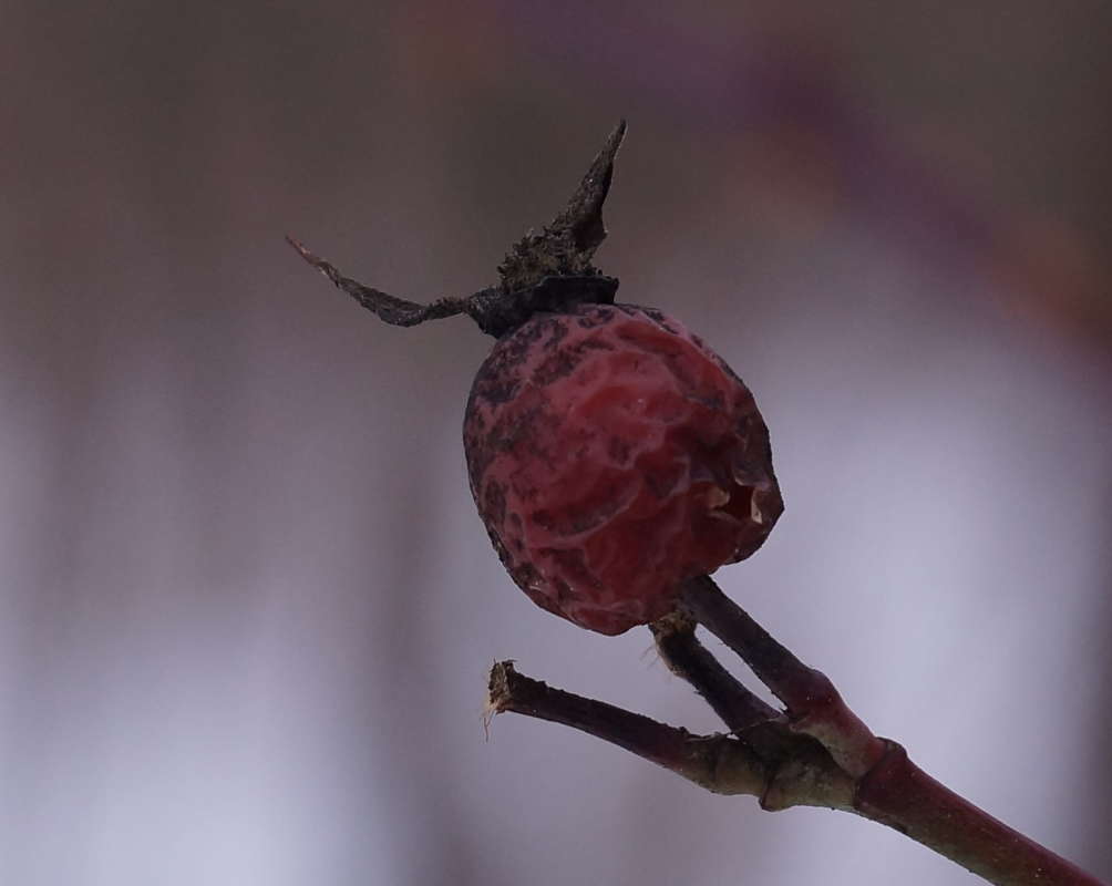 ������ ����� �������� ����� �� PhotoGeek.ru #������ ��� ������� #����� ��������������