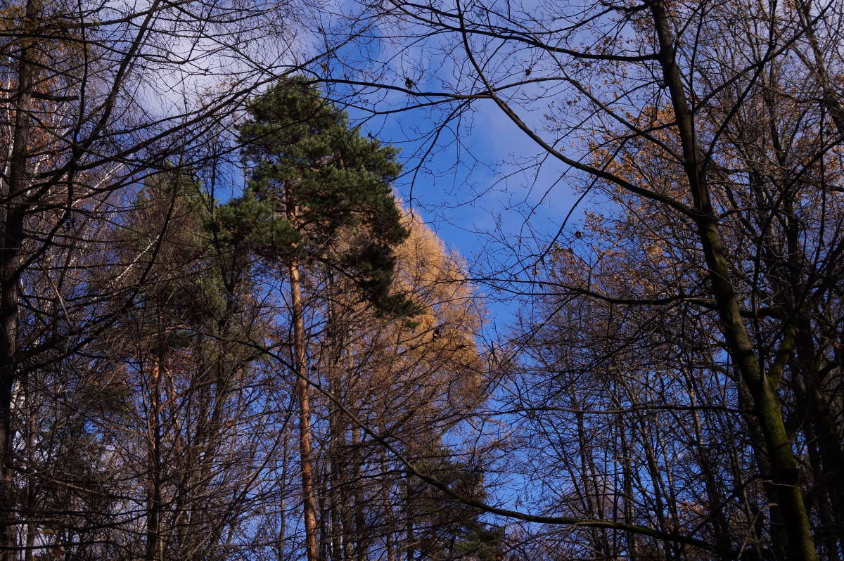 ��������� ����� ����� �������� ����� �� PhotoGeek.ru #������ ��� ������� #����� ��������������