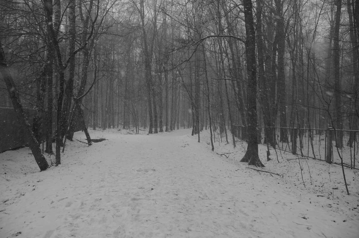 ������ ���� ����� �������� ����� �� PhotoGeek.ru #������ ��� ������� #����� �������������� #��������� #������������ #����� �������� #�����-�����