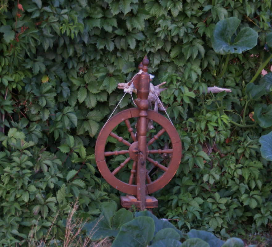 �������� ���� ������ ����� �������� ����� �� PhotoGeek.ru #�������� ����������