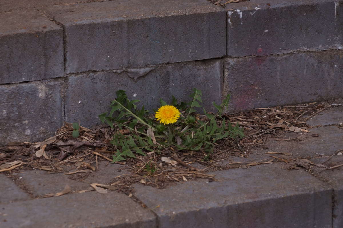 ����� ����� �������� ����� �� PhotoGeek.ru #������ ��� ������� #����� ��������������