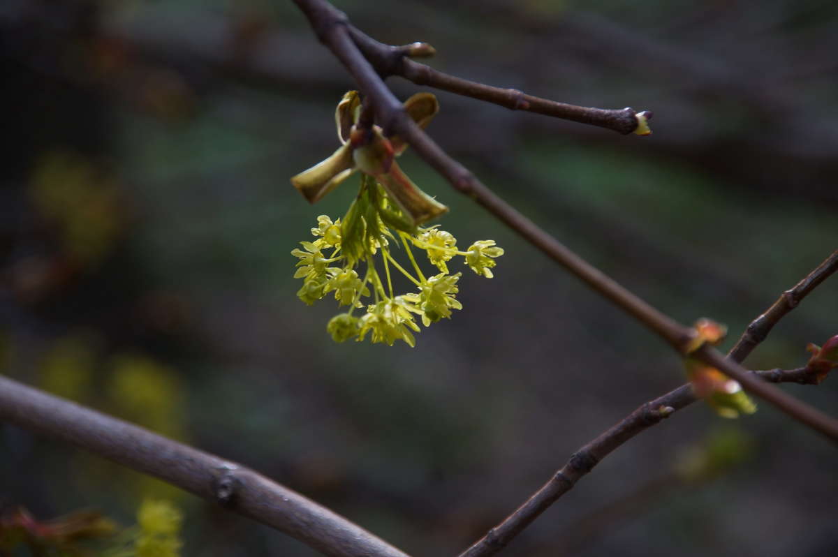 �������� ����� �������� ����� �� PhotoGeek.ru #������ ��� ������� #����� ��������������