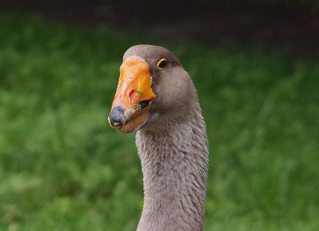 ����� ���� ����� �������� ����� �� PhotoGeek.ru #�������� ���