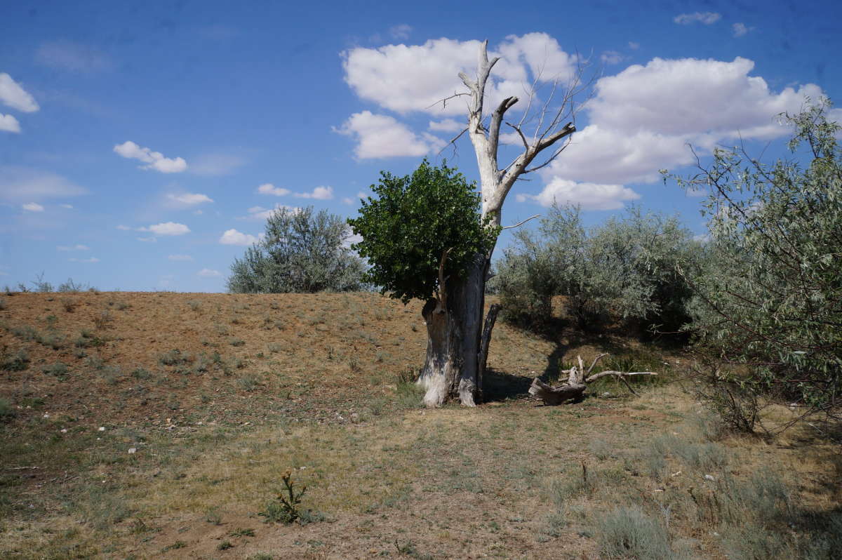 ����� � ������ ����� �������� ����� �� PhotoGeek.ru #������ ��� ������� #�������� ����������