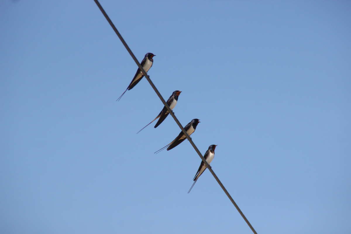 ������� ����� �������� ����� �� PhotoGeek.ru #�������� ���