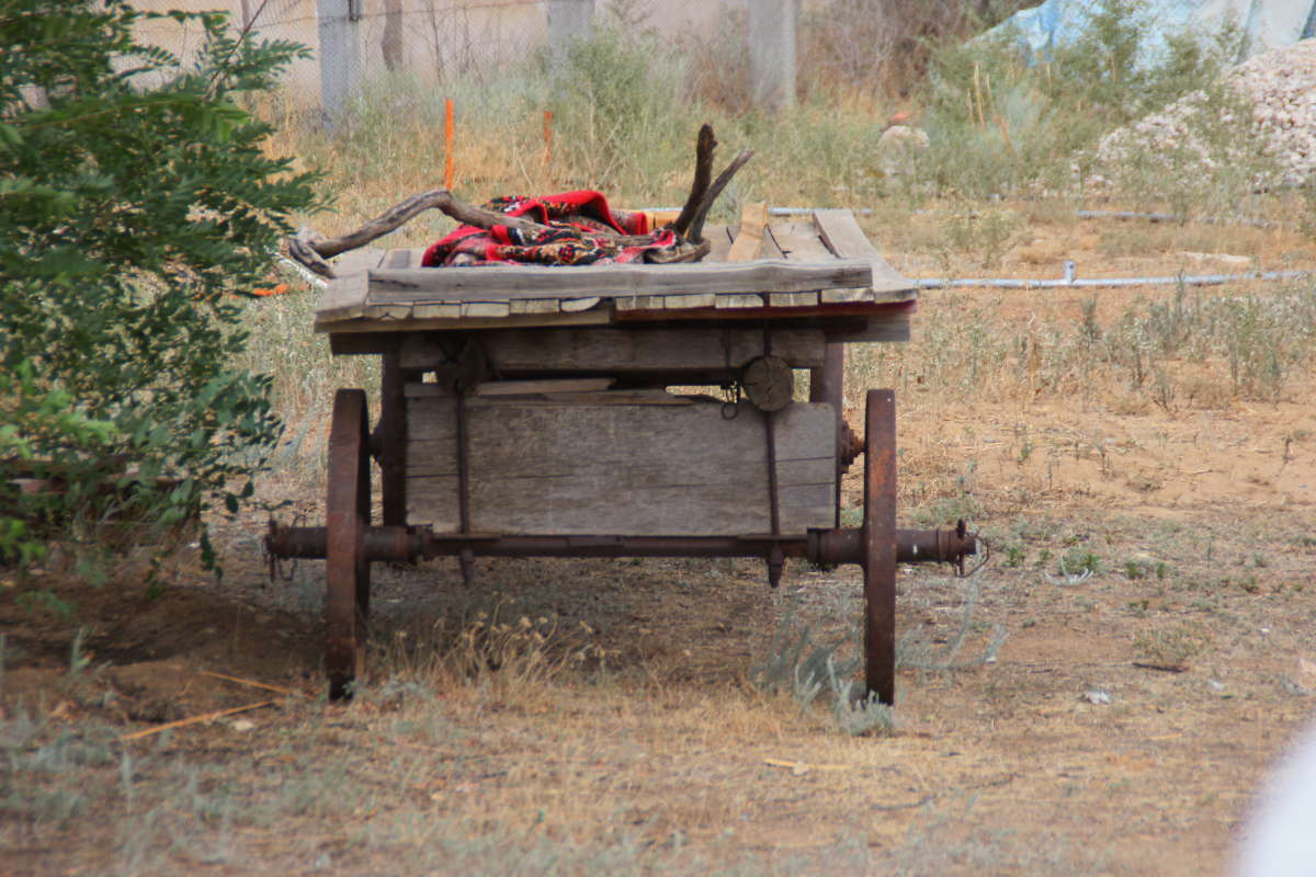 ������ � ������ ����� �������� ����� �� PhotoGeek.ru #�������� ����������