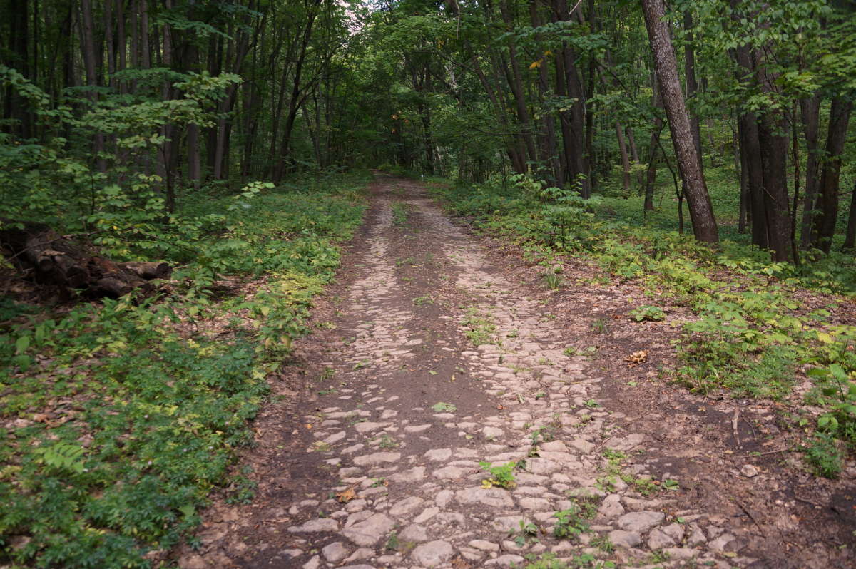 Farewell Yellow Brick Road ����� �������� ����� �� PhotoGeek.ru #������ ��� �������