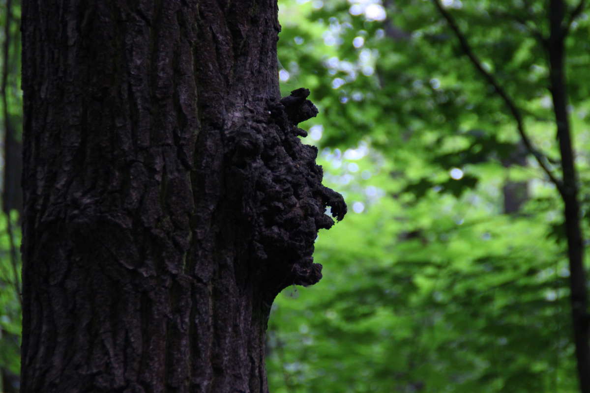 ������� �������� ����� �������� ����� �� PhotoGeek.ru #�������� #���� #������ ��� �������