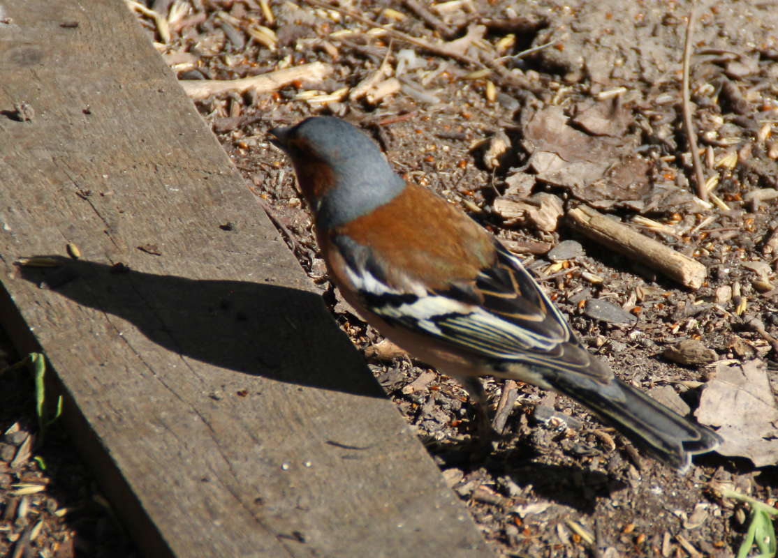 ������ ����� �������� ����� �� PhotoGeek.ru #�������� ��� #������ ��� �������