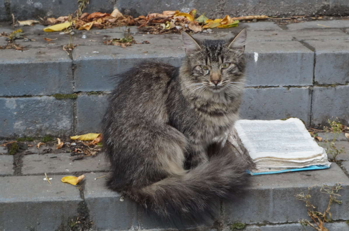 ��������� ����� �������� ����� �� PhotoGeek.ru #�������� ���