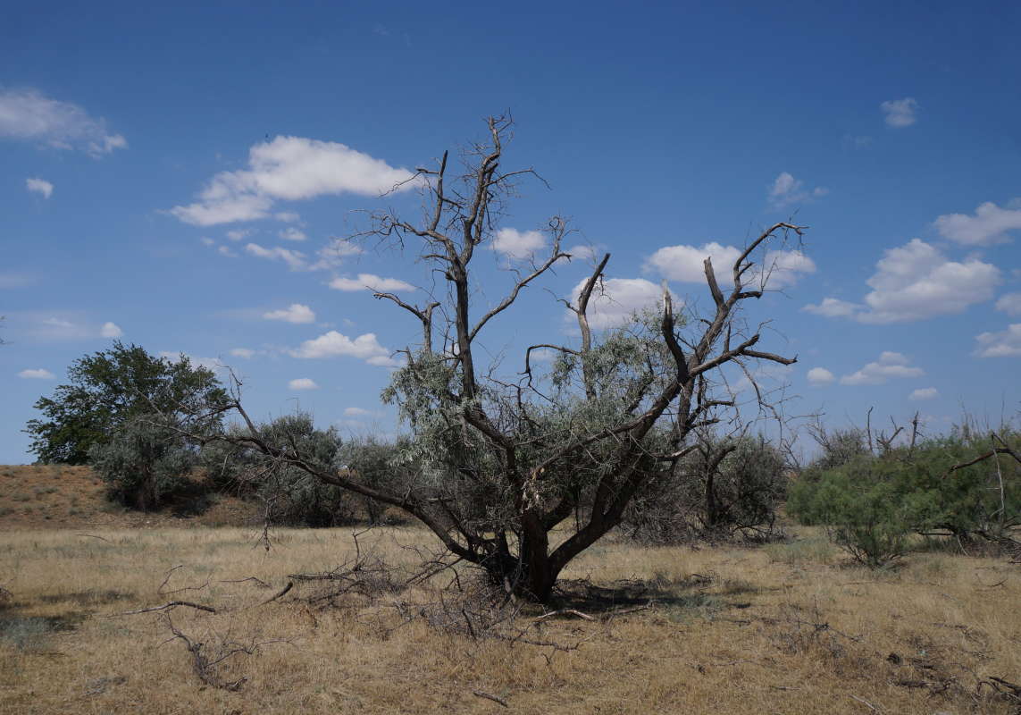 �������� ����� �������� ����� �� PhotoGeek.ru #������ ��� �������