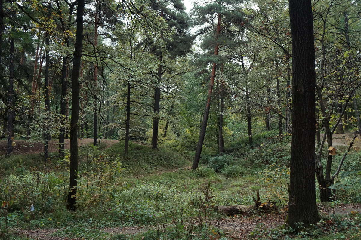 ���������� �������� ����� �������� ����� �� PhotoGeek.ru #������ ��� ������� #����� ��������������