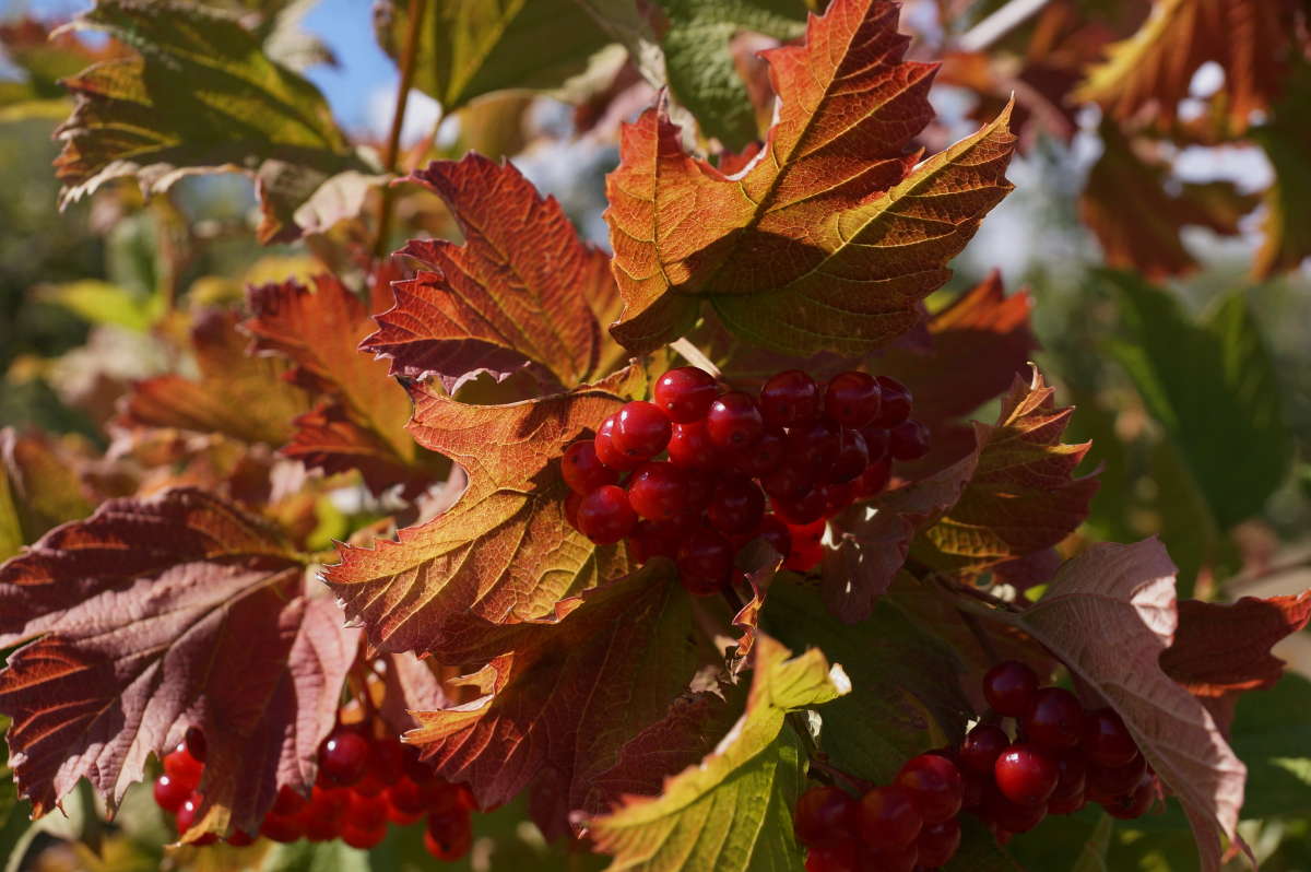 ������� ����� ����� �������� ����� �� PhotoGeek.ru #������ ��� ������� #����� ��������������